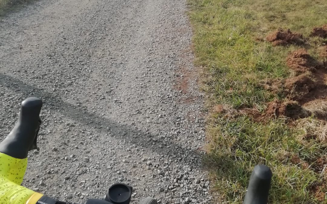 Nouveauté : Prenez un bol d’air en Gravel
