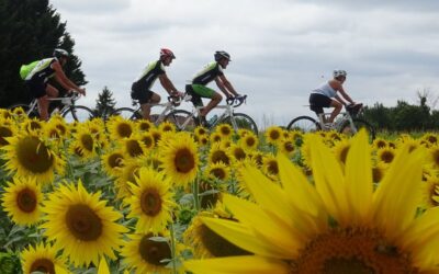 Opération « Votre 1ère licence vélo gratuite » par le CODEP21